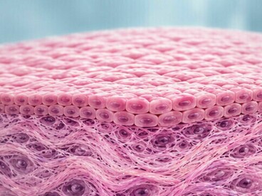 La metilación del ADN regula la expresión génica y puede alterarse en enfermedades como el cáncer