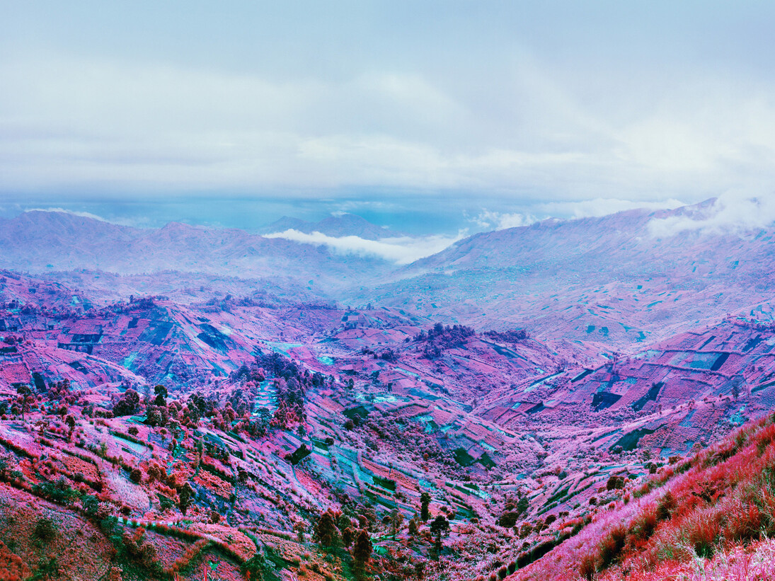 Richard Mosse, Because the Night, 2012, c-print, courtesy the artist and carlier | gebauer