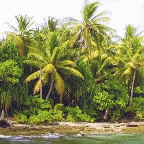 David Hartt, still from adrift, 2015. Courtesy the artist; Corbett vs. Demsey, Chicago; David Nolan Gallery, New York; and Galerie Thomas Schutte, Berlin