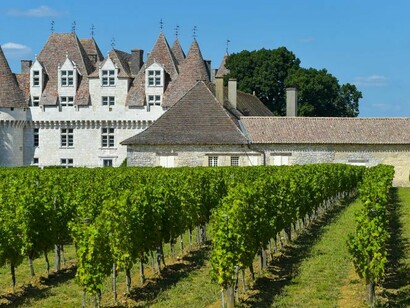 Vigneti