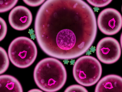 Biophilia virus