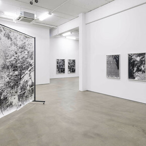 Berit Schneidereit, The interstices of this place, exhibition view. Courtesy of G2 Kunsthalle