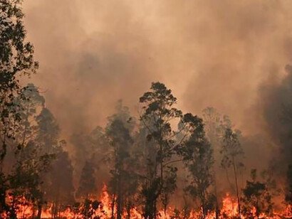 La concentrazione di anidride carbonica nell'atmosfera comporta l'aumento delle temperature medie