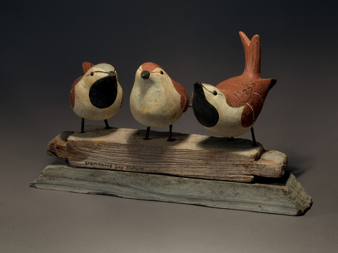 Guy Taplin, 3 House Sparrows