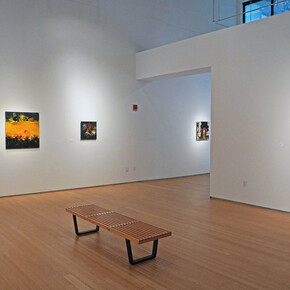 Lynn McCarty, Color stir, exhibition view. Courtesy of Nancy Hoffman Gallery