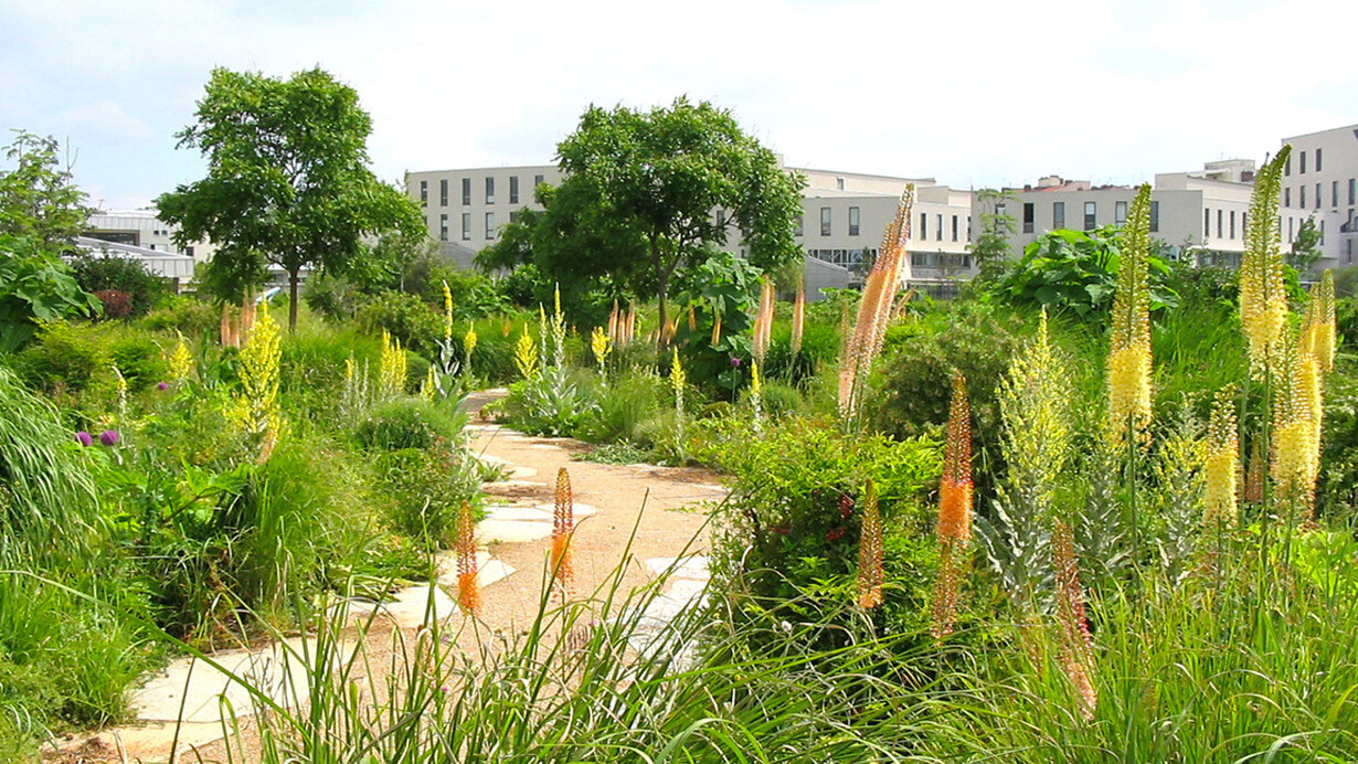 Immagine da Gilles Clément, Giardini, paesaggio e genio naturale, Quodlibet, 2013