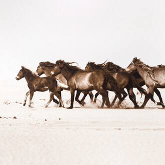 Roberto Dutesco, Western run (1/3), 2007. Courtesy of West Chelsea Contemporary 