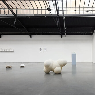Jeanne Susplugas, Ordinary madness, vue d'exposition. Avec l'aimable autorisation de la Galerie La Patinoire Royale Bach