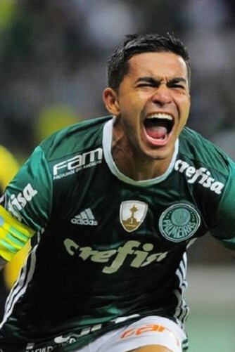 Em 1951, o Palmeiras trouxe orgulho ao Brasil ao vencer a Copa Rio, um feito que resgatou a autoestima do futebol brasileiro após o "Maracanaço". Dudu, o capitão que liderou o time com garra e determinação, deixando sua marca na história alviverde