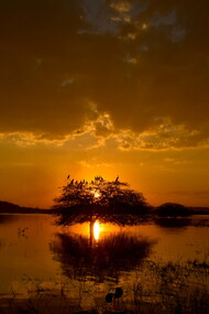 Nature has its own agency and rights, and must be respected for humanity to re-establish ecological harmony © Ashish Kothari