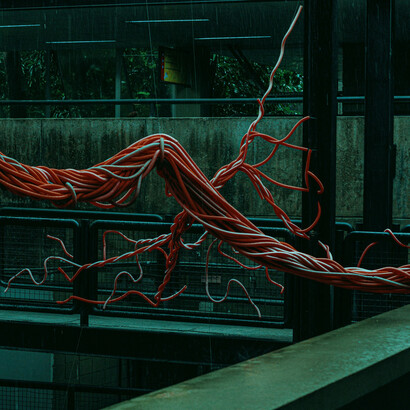 La serotonina es un componente clave en la compleja sinfonía bioquímica del amor