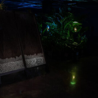 Tania Candiani, Radix, exhibition view. Courtesy of IVAM