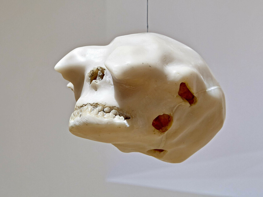 Juan Luis Moraza. República, Vista de la exposición, Museo Nacional Centro de Arte Reina Sofía, 2014. Fotografía: Joaquín Cortès/Román Lores