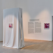 Bracha Lichtenberg Ettinger, ausstellungsansicht. Mit freundlicher genehmigung der Kunstsammlung Nordrhein-Westfalen