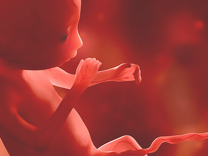 Explore a tranquil 3D CG render of a human baby fetus in utero, providing a captivating glimpse into the peaceful journey of embryo development