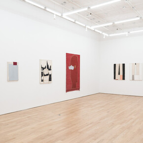 Jim Lee, In every dream home, exhibition view. Courtesy of Nicelle Beauchene Gallery