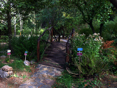Giardino Montano Linasia