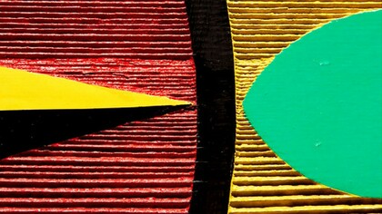 The paradox represented by polarization