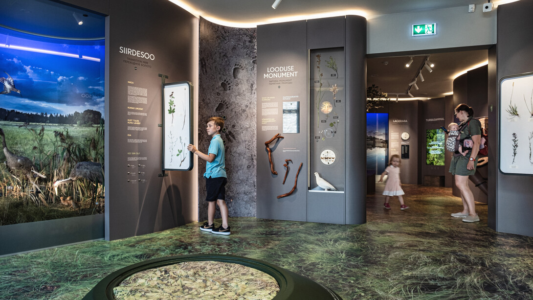 Permanent exhibition, exhibition view. Courtesy of Estonian Natural History Museum