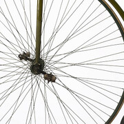 Sortir de sa réserve. Courtesy of Musée de la civilisation