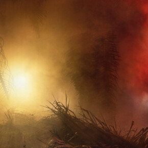 Frankenstein's Birthday Party. Courtesy of Hosfelt Gallery