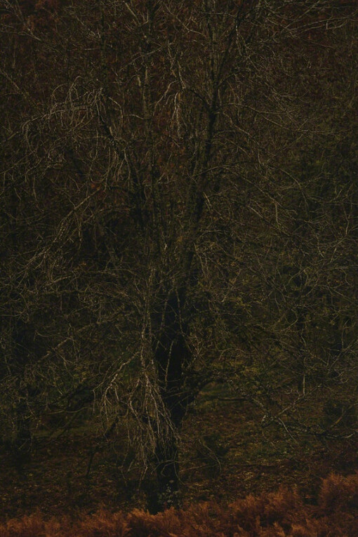 Arno Schidlowski. Courtesy of The Photographers' Gallery