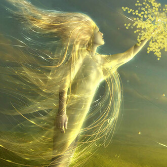 La Festa della Donna nell'Universo