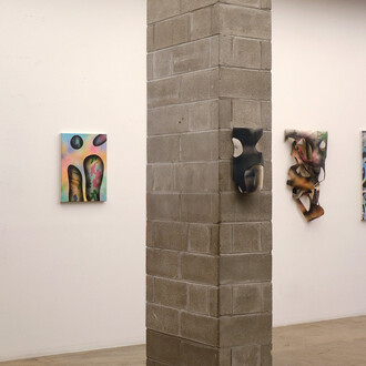 Doug Henders, Gradient maps, exhibition view. Courtesy of the Opening Gallery