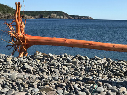 In Residence. Courtesy of AGH