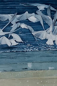 Volo nelle varianti blu