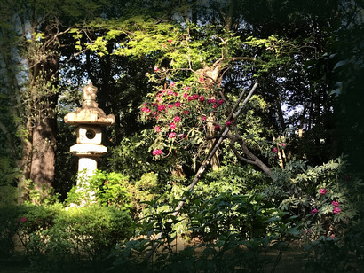 Okamoto Seikado Green Space © Alma Reyes