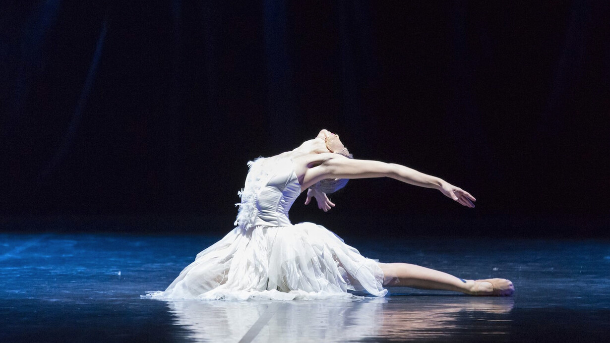Il lago dei cigni. Foto Gabriele Orlandi