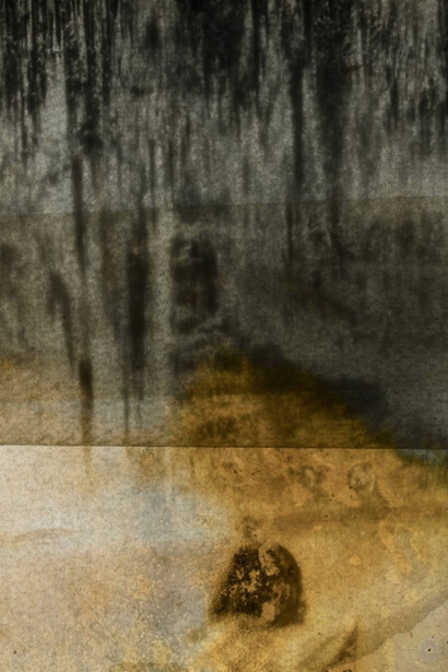 Joan Fontcuberta. Courtesy of Galería Pilar Serra