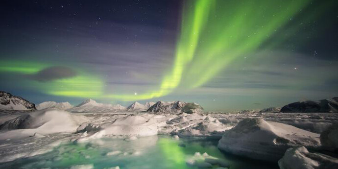 Canada Goose Arctic Gallery. Courtesy of Canadian Museum of Nature