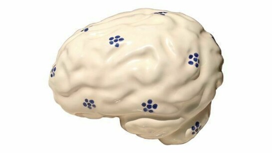 Michele Giangrande, Brain, 2013, ceramic real dimensions. Courtesy Paolo Erbetta Gallery, Berlin.
