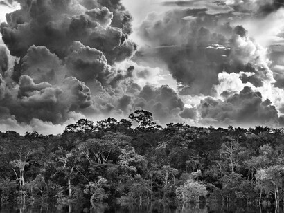 Sebastião Salgado, Mariuá river archipelago, Rio Negro. State of Amazonas, Brazil, 2019. Avec la courtoisie de Tour & Taxis