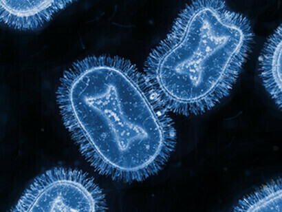 Das Affenpockenvirus unter einem Mikroskop