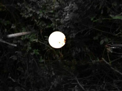 Nicholas Brooks, Slowly I was Taken, 2011, Still, Courtesy the artist