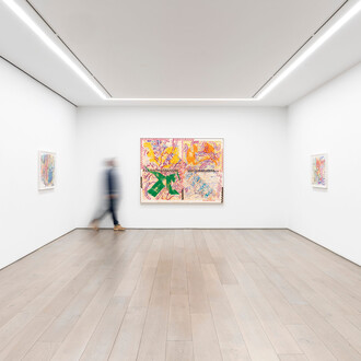 Nancy Graves, Moonwater, exhibition view. Courtesy of Galleries Perrotin