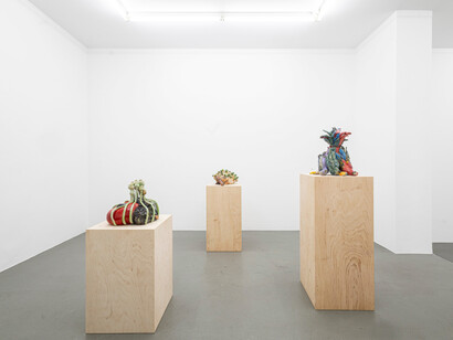 Dominika Bednarsky, Clay pigeons, exhibition view. Courtesy of Gaa Gallery