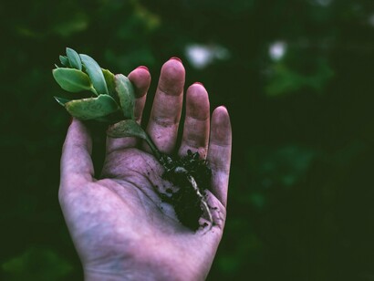 Hands cupping a leaf, feeling its texture, and appreciating its intricate design – small moments of connection with nature can have a profound calming effect