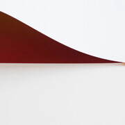 Wolfgang Tillmans. Courtesy of Fondation Beyeler 