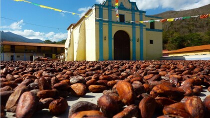 Semillas de cacao ante la iglesia de Chuao