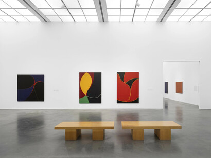 Virginia Jaramillo, Principio de equivalencia, vista de exhibición. Cortesía de MCA Chicago