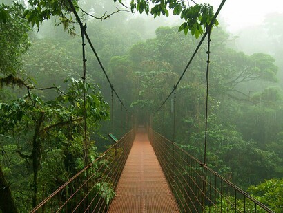 Monteverde Cloud Forest - Costa Rica