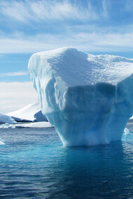 Arctique. L’étouffante planète en effervescence, tant sur le plan biologique que climatique, incite à ne plus avoir froid aux yeux par cette neige abondante