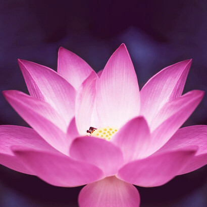 We may see new technologies to generate money, assets, and savings through natural resources