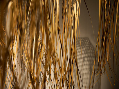 Santiago Vélez, Everything that glitters is gold, exhibition view. Courtesy of El Dorado Space