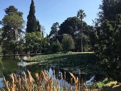 Passeggiando nel Parco della Reggia di Caserta, si ha l'impressione di essere in un luogo fuori dal tempo, in cui arte e natura si fondono armoniosamente, creando un'esperienza di visita unica e affascinante, Caserta, Italia