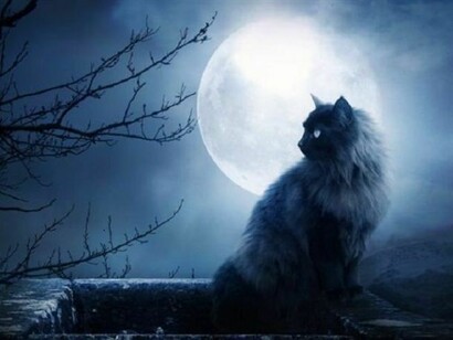 Creatura della notte